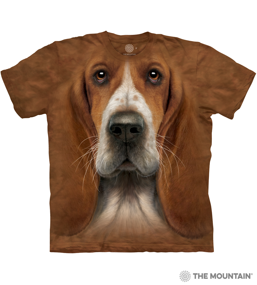 New Bellecombe Basset Hounds - Servais New Bellecombe Basset Hounds - Servais